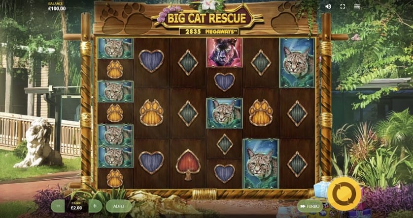 Spēlēt bezmaksas Big Cat Rescue Megaways