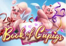 Book Of Cupigs