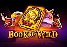 Book Of Wild