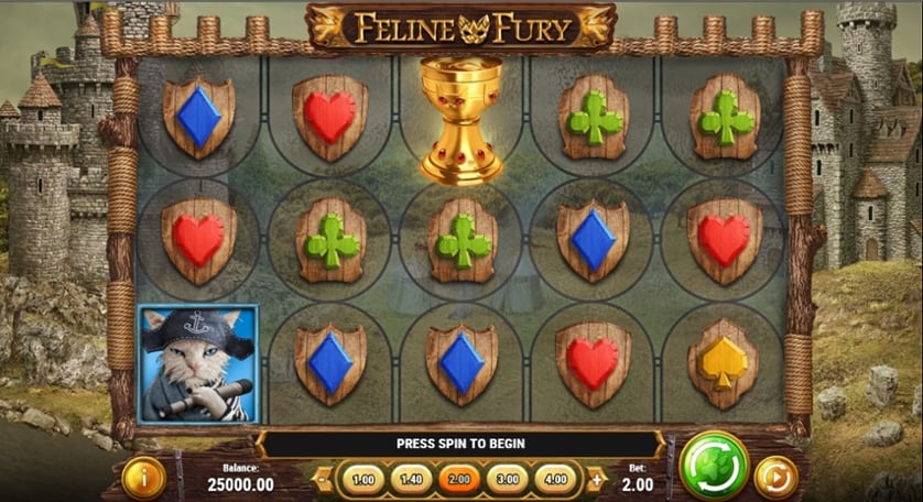 Spēlēt bezmaksas Feline Fury