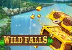 Wild Falls
